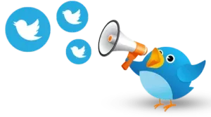 digital marketing company calicut